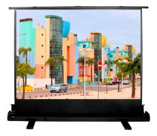 Экран для проектора Cactus FloorExpert CS-PSFLE-160X120 напольный
